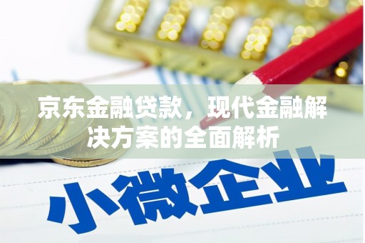 民和京东金融贷款，现代金融解决方案的全面解析