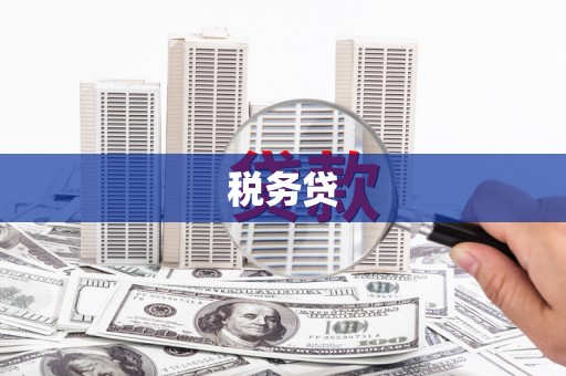 民和税务贷