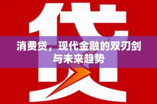 民和消费贷，现代金融的双刃剑与未来趋势