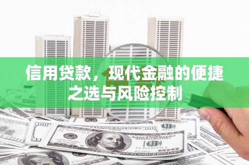 民和信用贷款，现代金融的便捷之选与风险控制