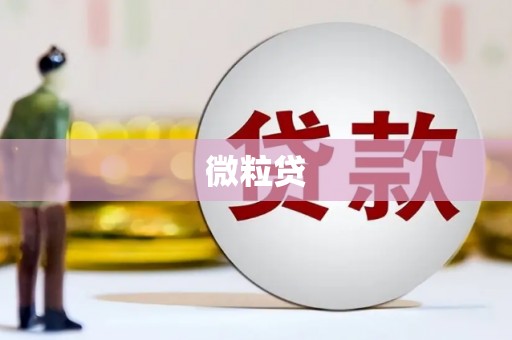 民和微粒贷