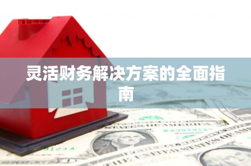民和灵活财务解决方案的全面指南