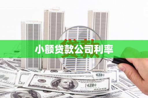 民和小额贷款公司利率