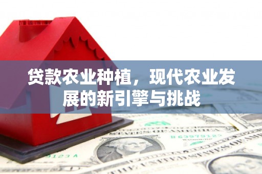 民和贷款农业种植，现代农业发展的新引擎与挑战