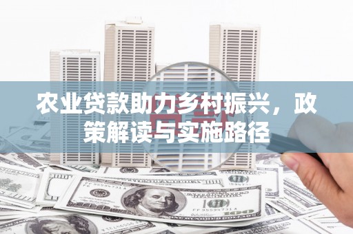 民和农业贷款助力乡村振兴，政策解读与实施路径