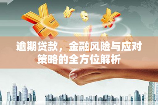 民和逾期贷款，金融风险与应对策略的全方位解析
