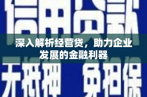 民和深入解析经营贷，助力企业发展的金融利器