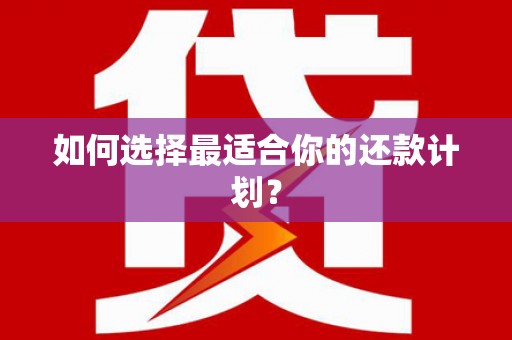 民和如何选择最适合你的还款计划？
