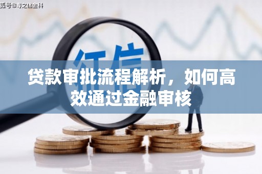 民和贷款审批流程解析，如何高效通过金融审核