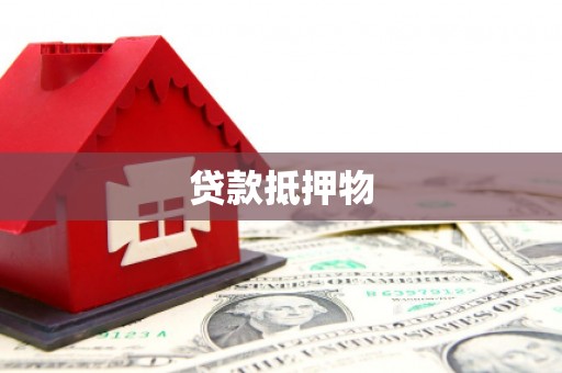 民和贷款抵押物