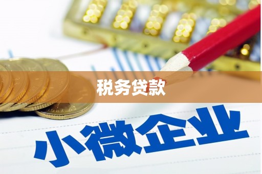 民和税务贷款