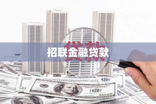民和招联金融贷款
