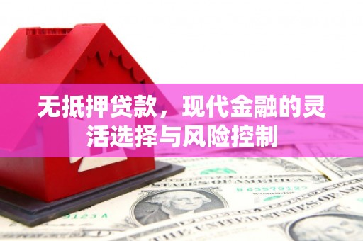 民和无抵押贷款，现代金融的灵活选择与风险控制