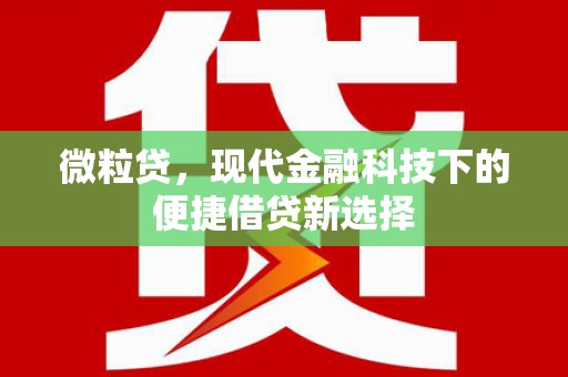 民和微粒贷，现代金融科技下的便捷借贷新选择