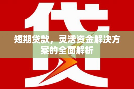 民和短期贷款，灵活资金解决方案的全面解析