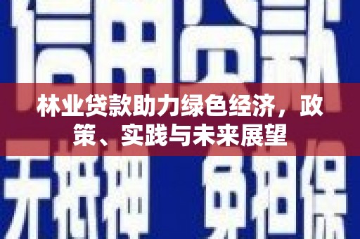 民和林业贷款助力绿色经济，政策、实践与未来展望