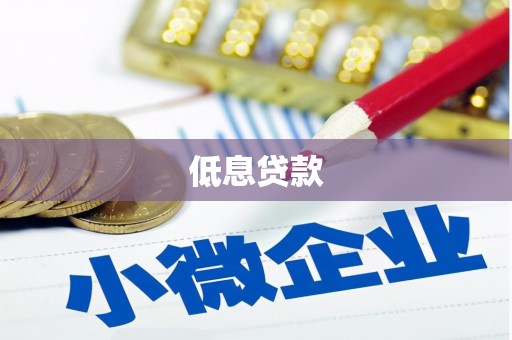 民和低息贷款