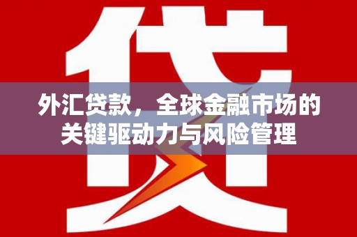 民和外汇贷款，全球金融市场的关键驱动力与风险管理