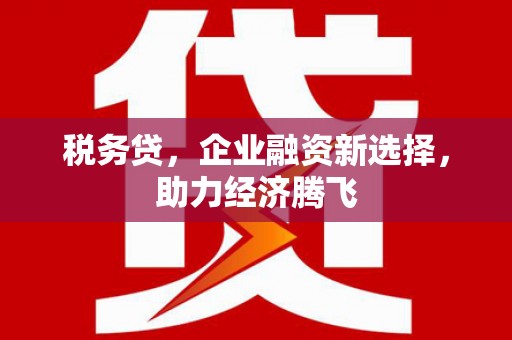 民和税务贷，企业融资新选择，助力经济腾飞