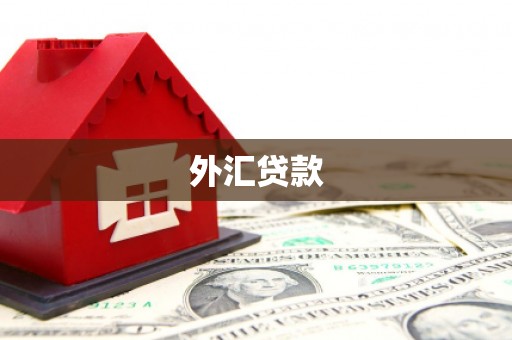 民和外汇贷款