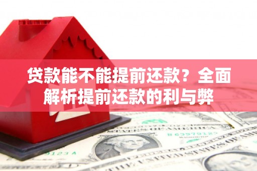 民和贷款能不能提前还款？全面解析提前还款的利与弊