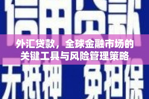 民和外汇贷款，全球金融市场的关键工具与风险管理策略