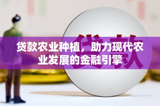 民和贷款农业种植，助力现代农业发展的金融引擎