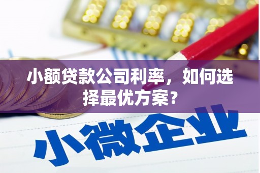 民和小额贷款公司利率，如何选择最优方案？