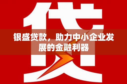 民和银盛贷款，助力中小企业发展的金融利器