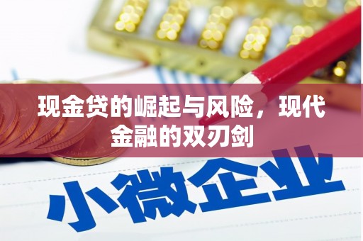 民和现金贷的崛起与风险，现代金融的双刃剑