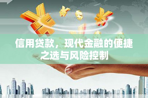 民和信用贷款，现代金融的便捷之选与风险控制