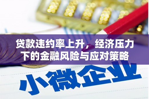 民和贷款违约率上升，经济压力下的金融风险与应对策略
