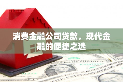 民和消费金融公司贷款，现代金融的便捷之选