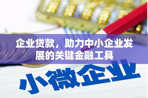 民和企业贷款，助力中小企业发展的关键金融工具