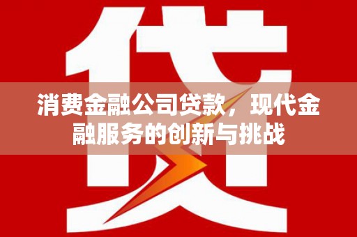 民和消费金融公司贷款，现代金融服务的创新与挑战