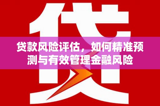 民和贷款风险评估，如何精准预测与有效管理金融风险