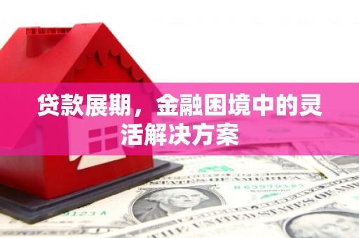 民和贷款展期，金融困境中的灵活解决方案