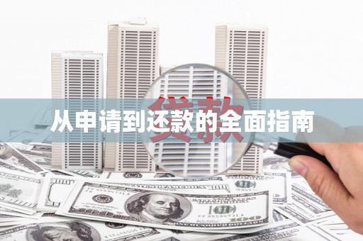 民和从申请到还款的全面指南