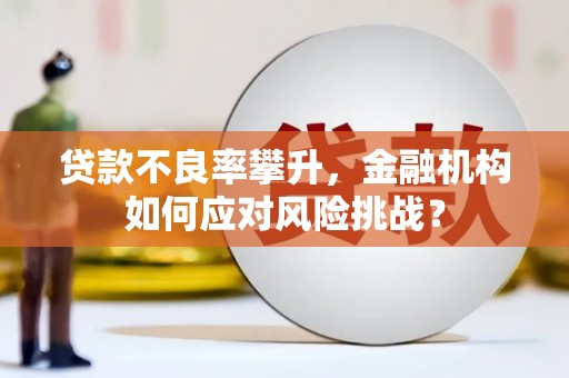 民和贷款不良率攀升，金融机构如何应对风险挑战？