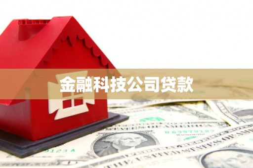 民和金融科技公司贷款