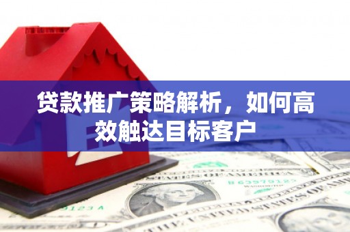 民和贷款推广策略解析，如何高效触达目标客户