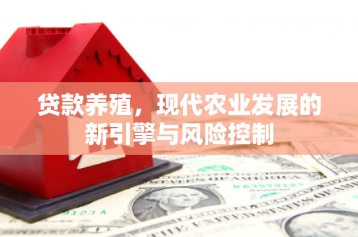民和贷款养殖，现代农业发展的新引擎与风险控制