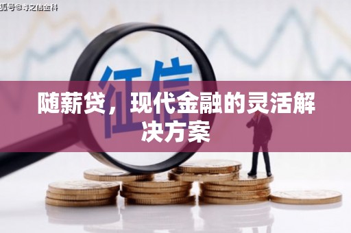 民和随薪贷，现代金融的灵活解决方案