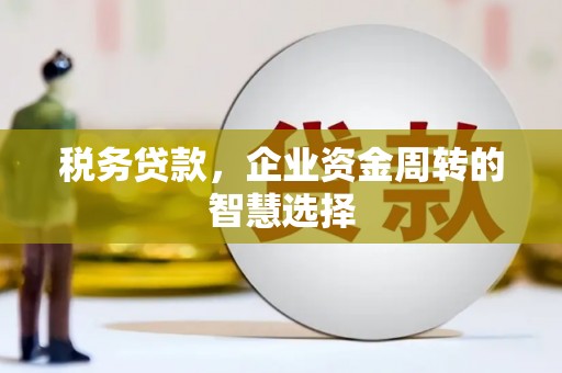 民和税务贷款，企业资金周转的智慧选择