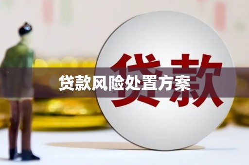 民和贷款风险处置方案