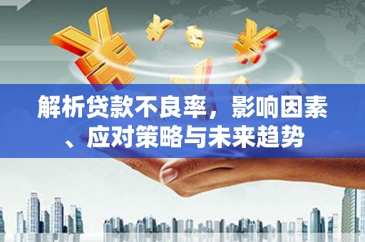 民和解析贷款不良率，影响因素、应对策略与未来趋势