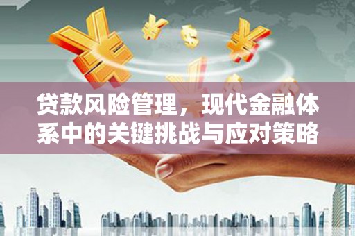 民和贷款风险管理，现代金融体系中的关键挑战与应对策略