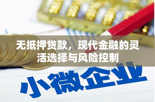 民和无抵押贷款，现代金融的灵活选择与风险控制