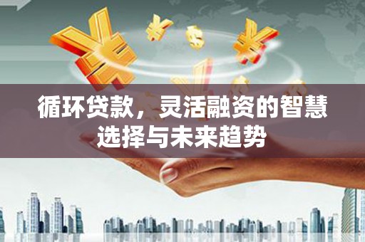 民和循环贷款，灵活融资的智慧选择与未来趋势