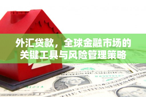 民和外汇贷款，全球金融市场的关键工具与风险管理策略